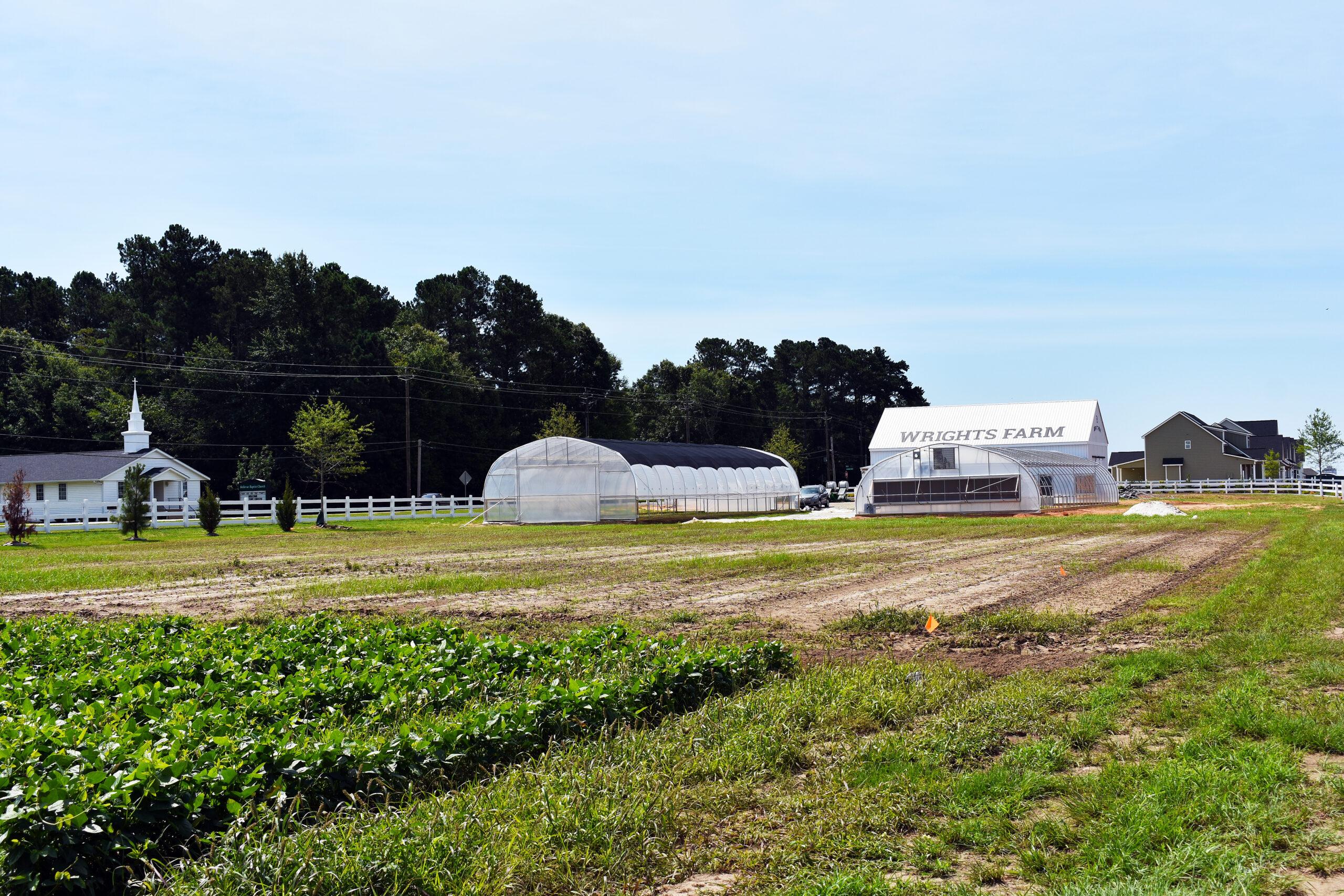 Wrights Farm Augusta Experience